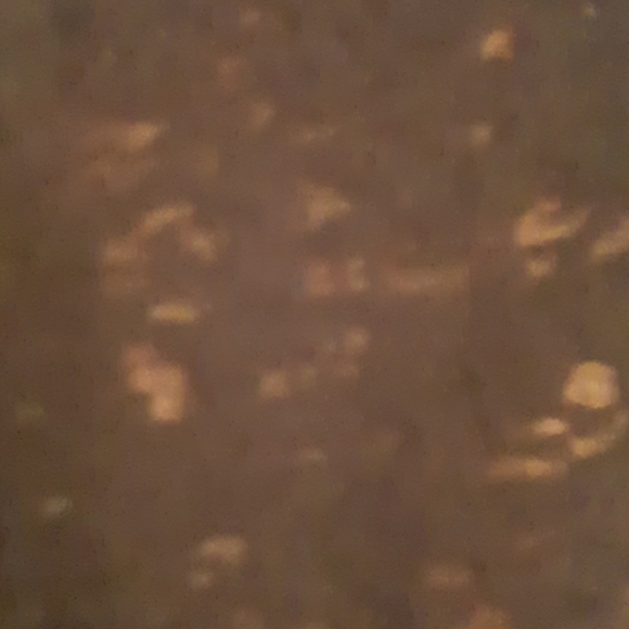 MUDD BLACK SHEER SPECKLED LEOPARD PRINT TOP XS - Picture 2 of 6